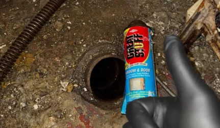 Drain Repair